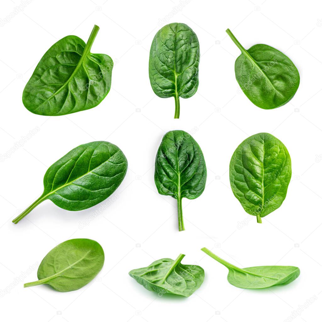 Spinach. Creative layout made of  Spinach leaves   isolated on white background.  Top view. Flat lay.