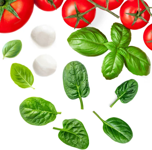 Mozzarella Basilikumblatt Spinatkraut Und Tomaten Isoliert Auf Weißem Hintergrund Kreatives — Stockfoto