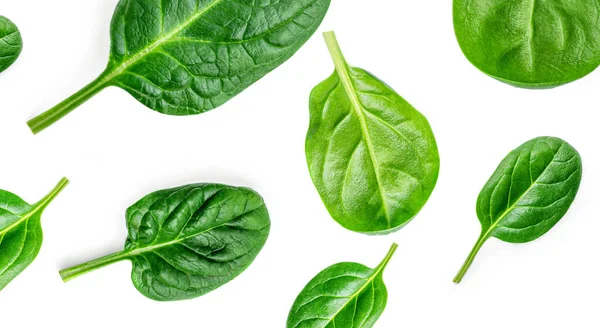 Spinach Pattern Creative Layout Made Spinach Leaves Isolated White Background — Stock Photo, Image