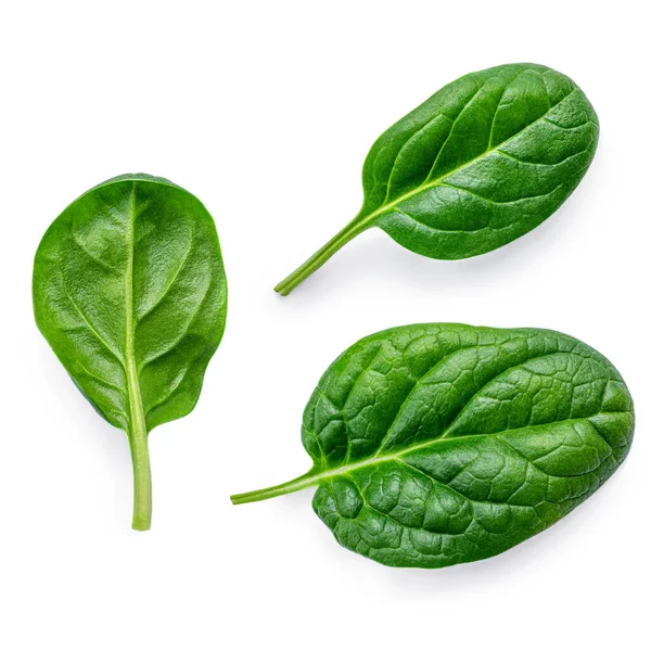 Spinach Leaves Isolated White Background Various Spinach Macro Top View — Stock Photo, Image