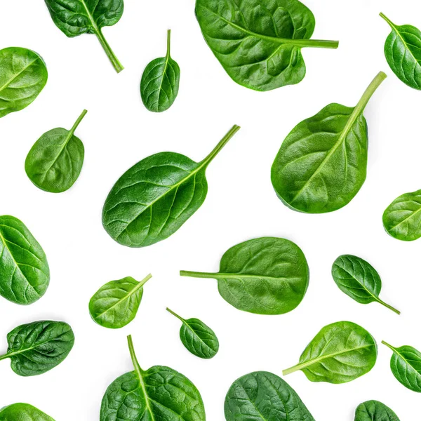 Spinach Pattern Creative Layout Made Spinach Leaves Isolated White Background — Stock Photo, Image