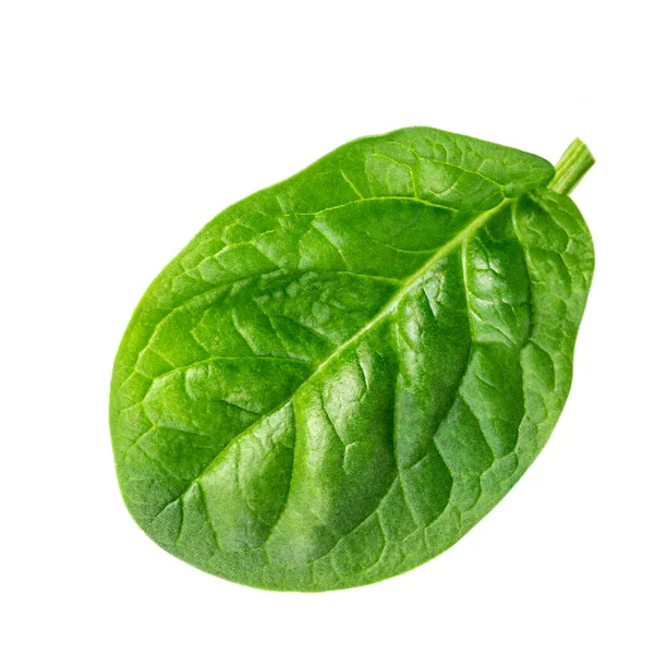 Fresh Spinach Leaves Isolated White Background Close — Stock Photo, Image