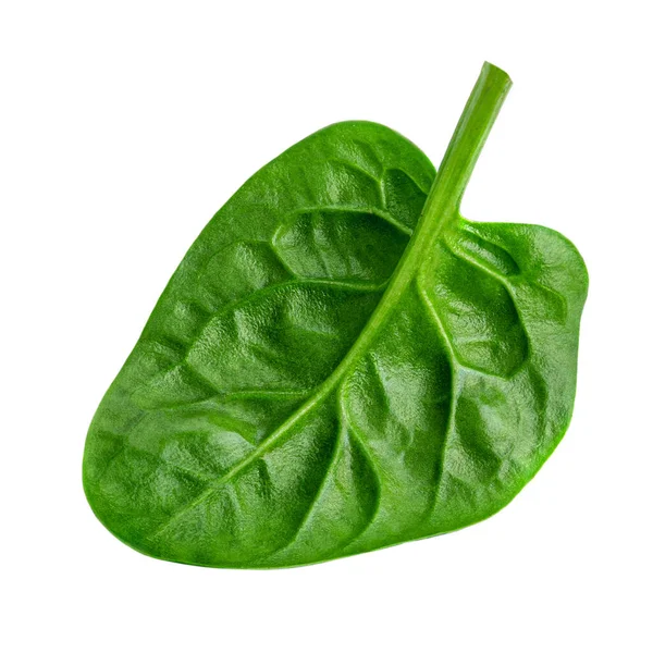 Spinach Leaf Isolated White Background Spinach Macro Top View Flat — Stock Photo, Image