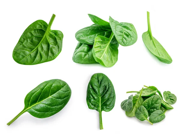 Spinach Creative Layout Made Spinach Leaves Isolated White Background Top — Stock Photo, Image