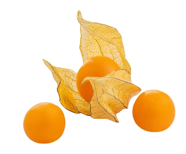 Bagas Physalis Isoladas Fundo Branco Fresco Tropical Dourado Physalis Cape — Fotografia de Stock