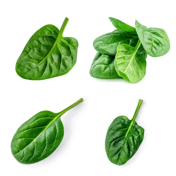Spinach Leaf Isolated White Background Spinach Macro Top View Flat — Stock Photo, Image