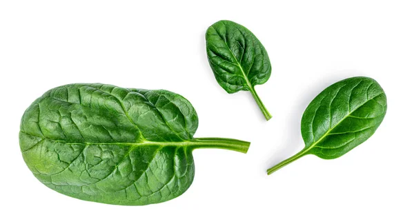 Spinach Creative Layout Made Spinach Leaves Isolated White Background Top — Stock Photo, Image