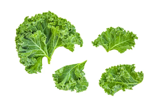 잎으로 만들어 창의적 레이아웃입니다 평평하게 Raw Kale 샐러드는 배경에서 분리되었다 — 스톡 사진
