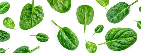 Creative Layout Made Fresh Spinach Leaves Isolated White Background Pattern — Stock Photo, Image