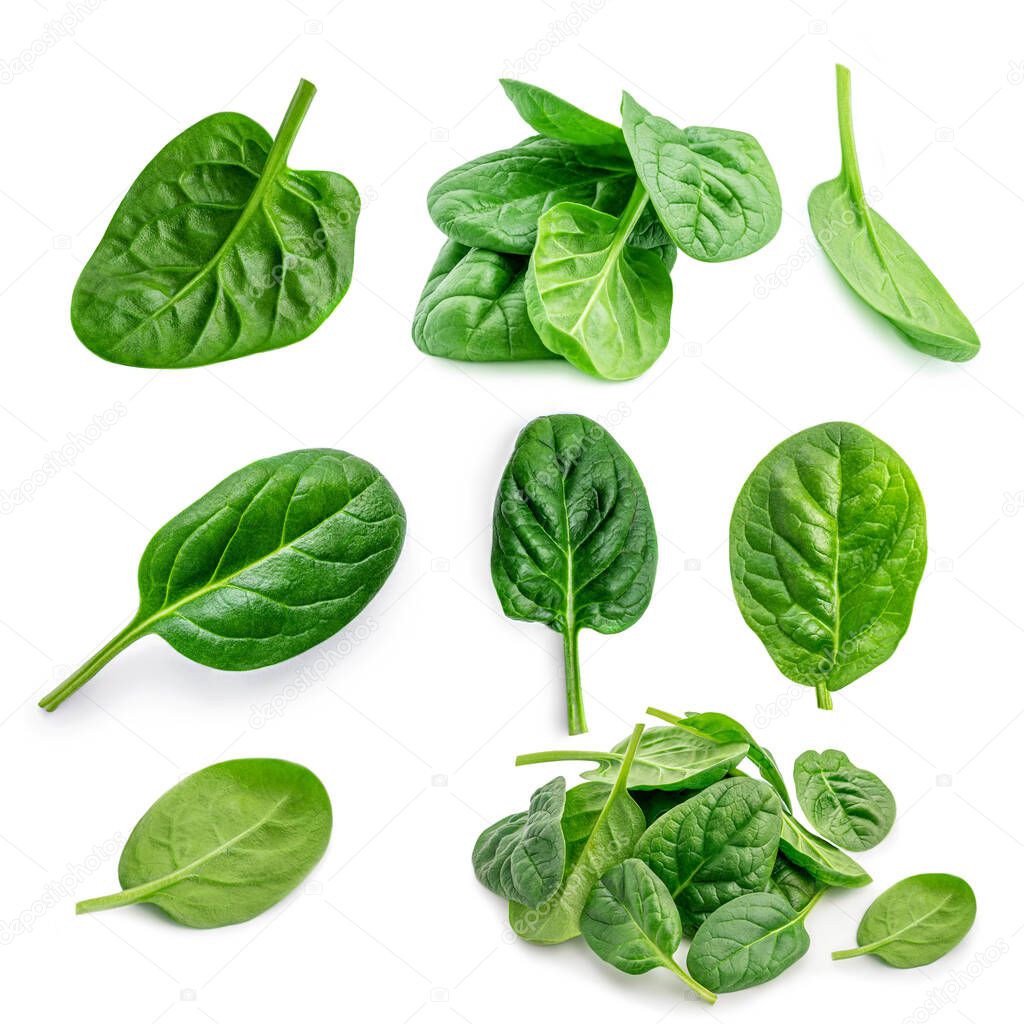 Spinach leaves  Set  isolated on white background. Fresh green spinach collection. Top view. Flat lay.