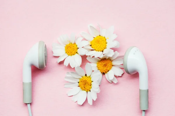 Nếu bạn yêu thích trà và hoa cúc, Earphones và Chamomile Flowers sẽ là điều thú vị đang chờ đợi bạn. Ảnh đẹp về tai nghe và hoa cúc sẽ đưa bạn đến một thế giới cực kỳ thú vị và đầy sáng tạo.