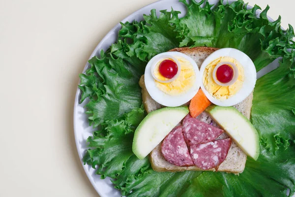 children food, creative and funny tasty sandwich for breakfast, cute owl made of toast bread decorated with eggs, meat sausage and vegetables on fresh green salad on a plate, top view, flat lay