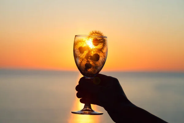 magical spiritual sunrise sunset and glass of beautiful dandelion flowers in young female hand, soul, dream, love, purity,  romantic concept, young woman enjoying sunset