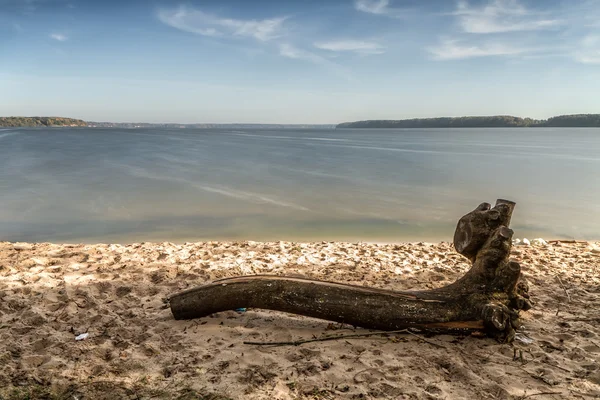 Gecrashte boom ligt in de buurt van lagune — Stockfoto