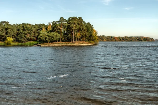 Forest near Kaunas Lagoon — Stock Photo, Image