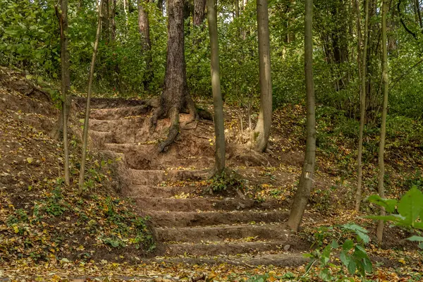 Escadas escavadas terra no outono — Fotografia de Stock