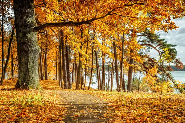 Près de la lagune de Kaunas — Photo