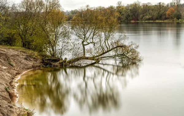 Дрова в річку — стокове фото