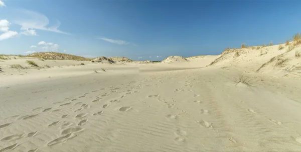 Sand Dune panorama — Stock Photo, Image