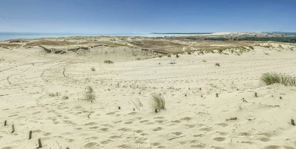 Çöl panorama Litvanya