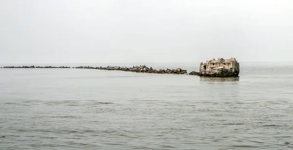 Пирс в Балтийском море — стоковое фото