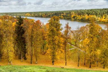Şehir Manzaralı tepeden