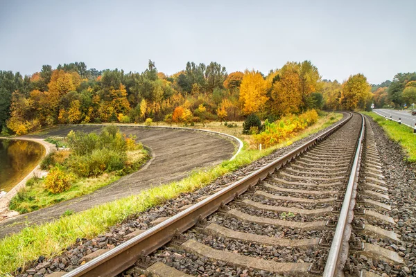 Ormana giden tren — Stok fotoğraf