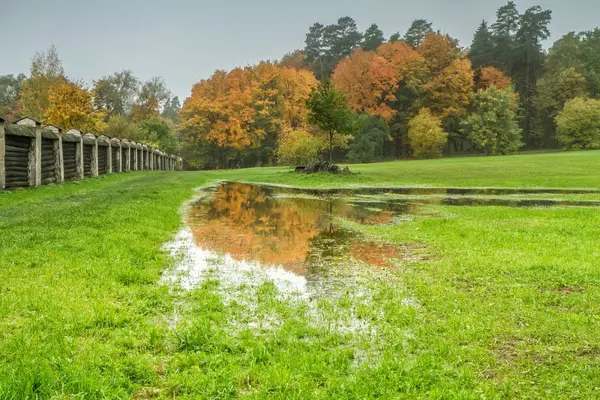Jardim após chuva no outono — Fotografia de Stock