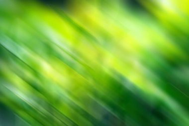 Yeşil renkli bulanık arkaplan. Karışık hareket dokusu. Soyut köşegen çizgiler duvar kağıdı