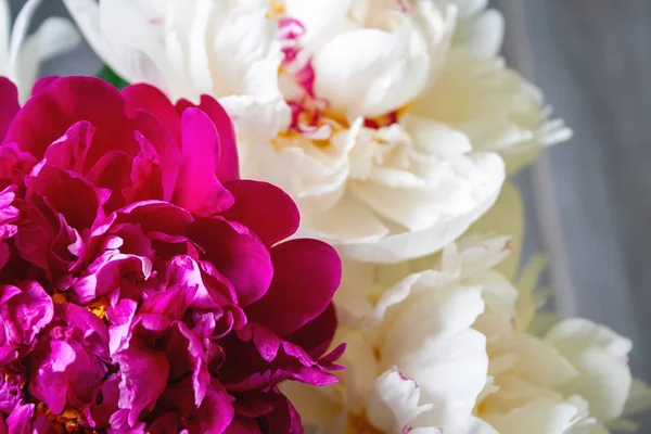 Detailní pohled na kytici bujné bílé a růžové pivoňky. Krásné jemné květiny jako dárek na dovolenou. Horní pohled. Selektivní zaměření — Stock fotografie