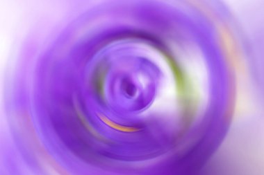 Bulanık radyal hareket mor eflatun arkaplan. Karışık dairesel doku