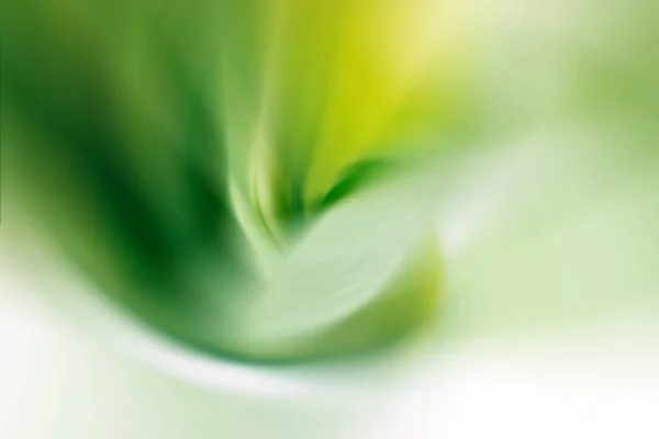 Sfumato Gradiente Astratto Succosa Naturale Verde Giallo Sfondo Bianco — Foto Stock