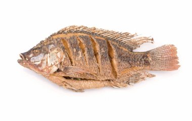 Kızarmış Kırmızı tilapia balık beyaz arka plan üzerinde.