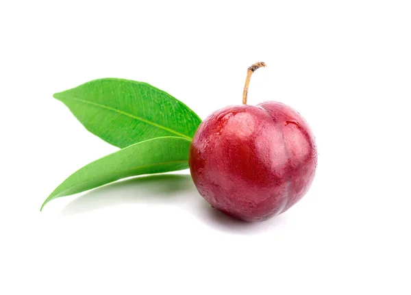 Red plum fruit — Stock Photo, Image