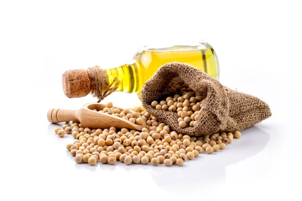 Beyaz arkaplanda soya fasulyesi.