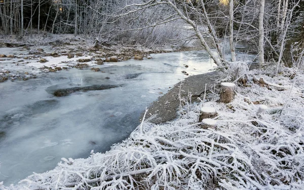 Frozen stream — Stock Photo, Image