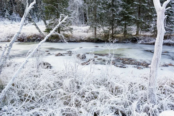 Frozen stream — Stock Photo, Image