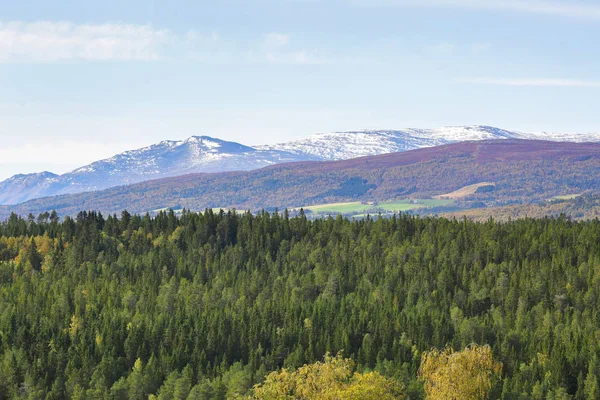 Oppdal, Νορβηγία — Φωτογραφία Αρχείου