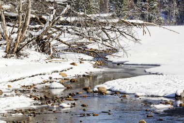 Norveç Gölü 'nde bahar ve akarsu Selbu 