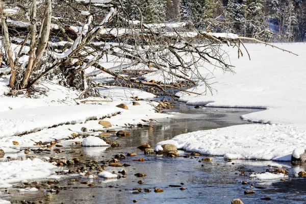 Spring Stream Norwegian Lake Selbu — Stock Photo, Image