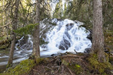 Norveç, Trondelag 'da yer alan Sagelva nehrinde şelale ve bahar seli 