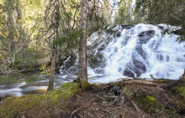 Norveç, Trondelag 'da yer alan Sagelva Nehri' nde bahar seli ve şelale 