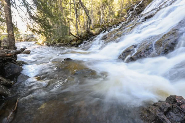 Inondazioni Primaverili Sul Fiume Sagelva Situato Trondelag Norvegia — Foto Stock