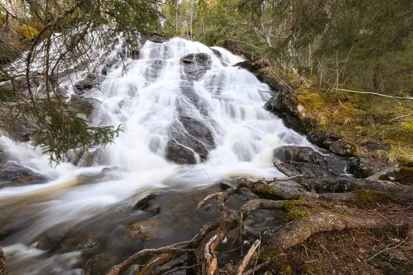 Spring Flood Waterval Aan Rivier Sagelva Trondelag Noorwegen — Stockfoto