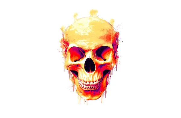 Painted Human Skull White Background — Stock Photo, Image