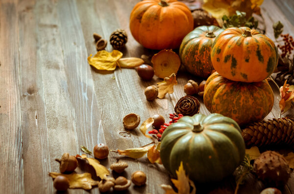 Decorative pumpkins on a wooden background