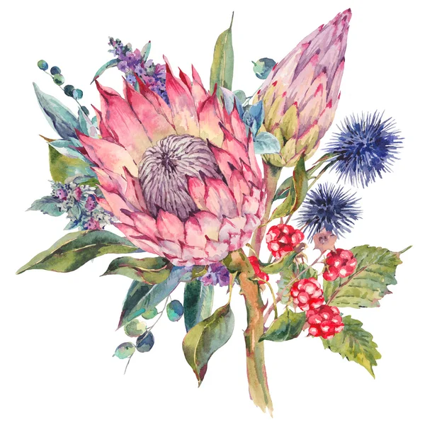 Watercolor bouquet of protea and wildflowers — Stock Photo, Image