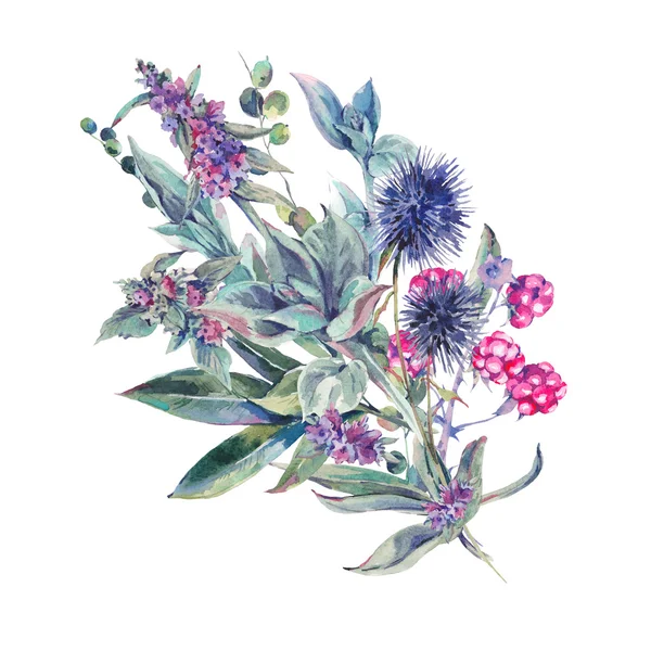 Watercolor bouquet of thistles, stachys and wildflowers — Stock Photo, Image