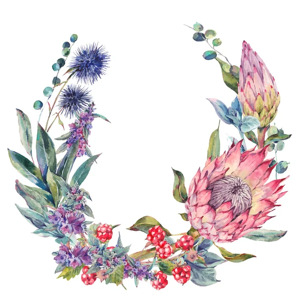 Watercolor floral wreath with protea — Stock fotografie