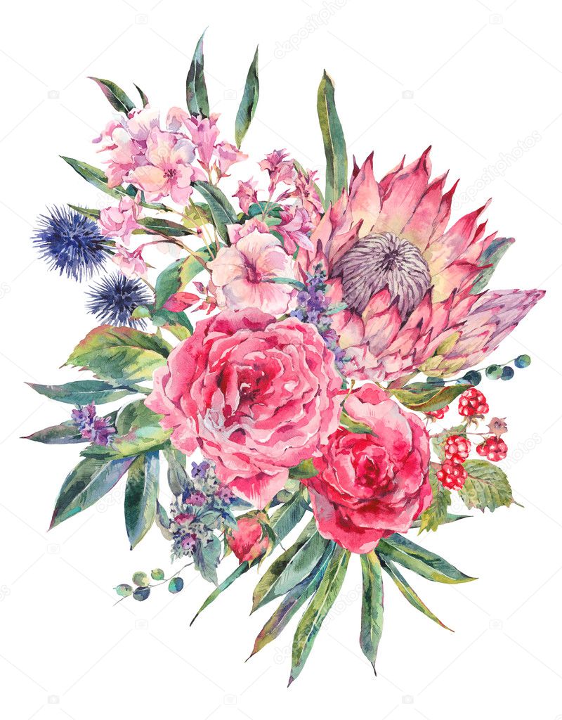 Watercolor bouquet of roses, protea and wildflowers